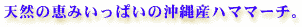 VŘb݂ς̉Yn}}[`